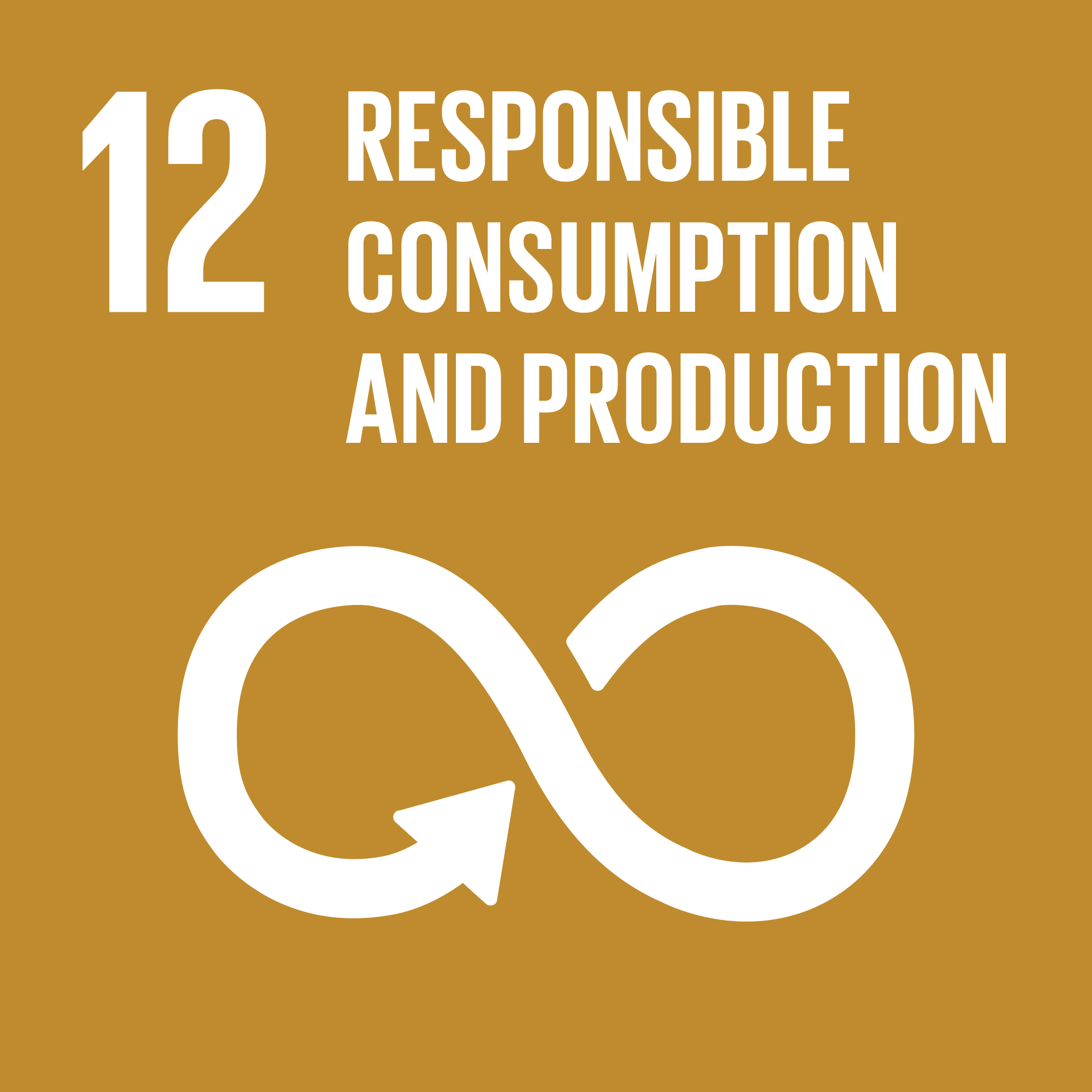 sdg 12 responsible consumption and production sustainability report