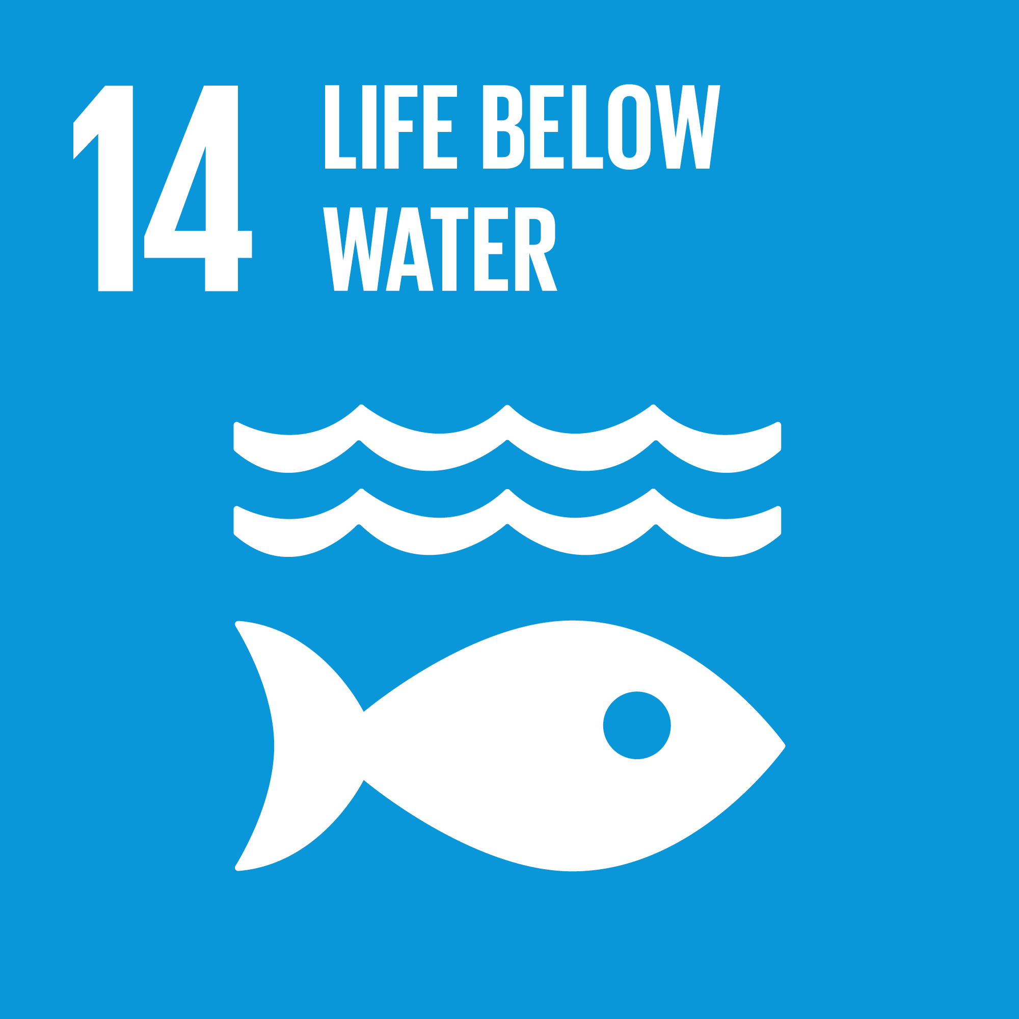 sdg 14 life below water sustainability report