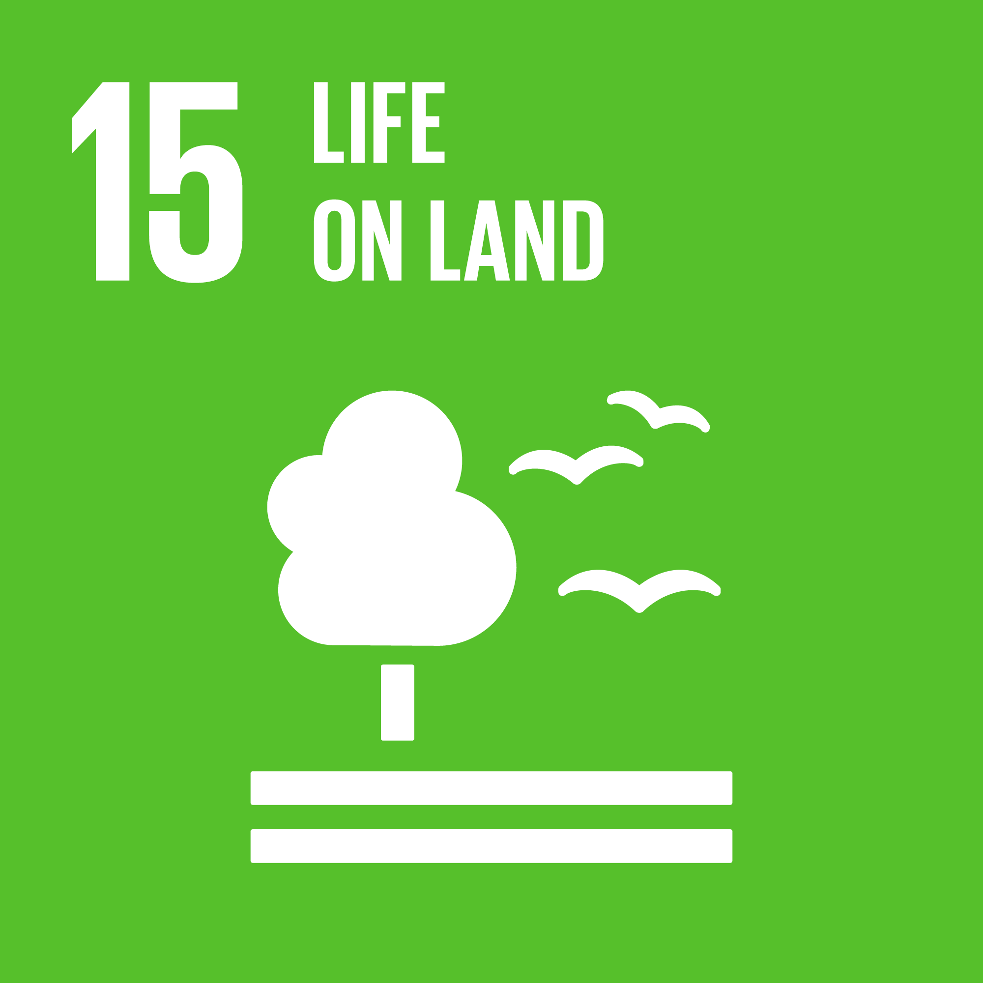 sdg 15 life on land sustainability report