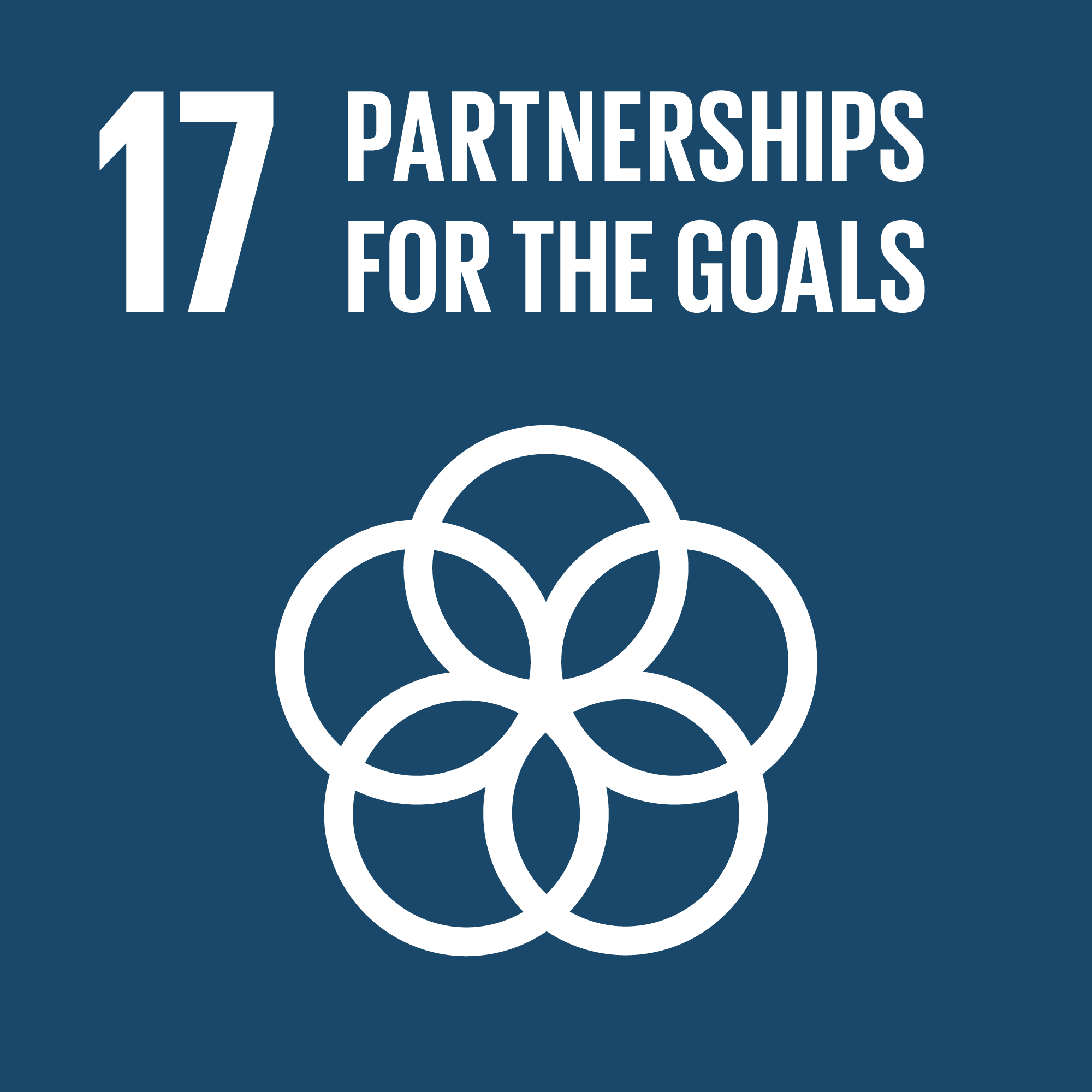 sdg 17 partnership for the goals sustainability report