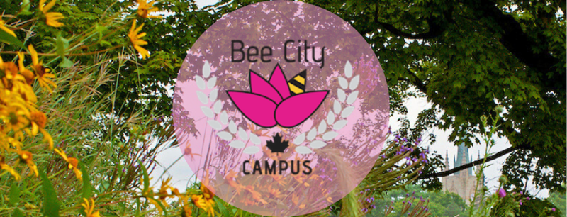 bee-campus.png