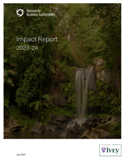 NBS-report-2024