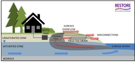 Pathways via which septic system wastewater may be delivered to surface waters